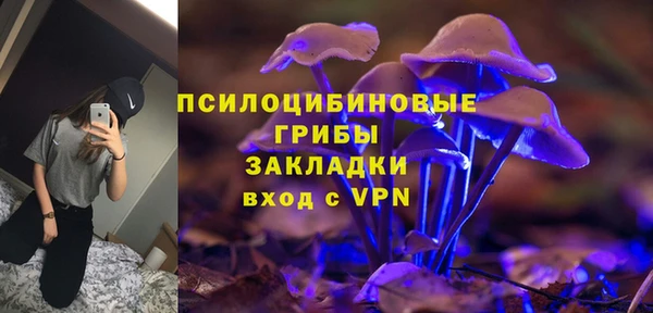 Альфа ПВП Дмитров