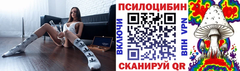 Псилоцибиновые грибы Psilocybe  Купить где  Старый Оскол 